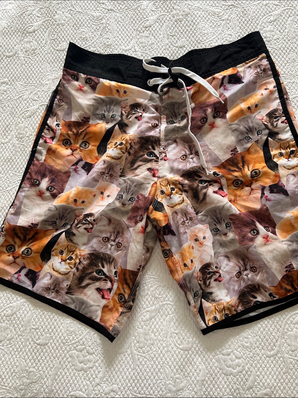 Bioworld Men's Cat Print Swim Shorts - Black, Brown, White